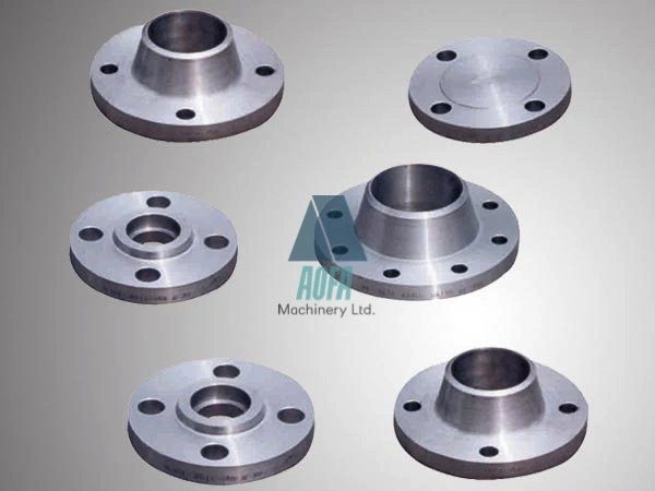 Customized Carbon Steel A105/Rst37.2/C22.8/Q235 Stainless Steel Flanges Stainless Steel Weld Neck Flange