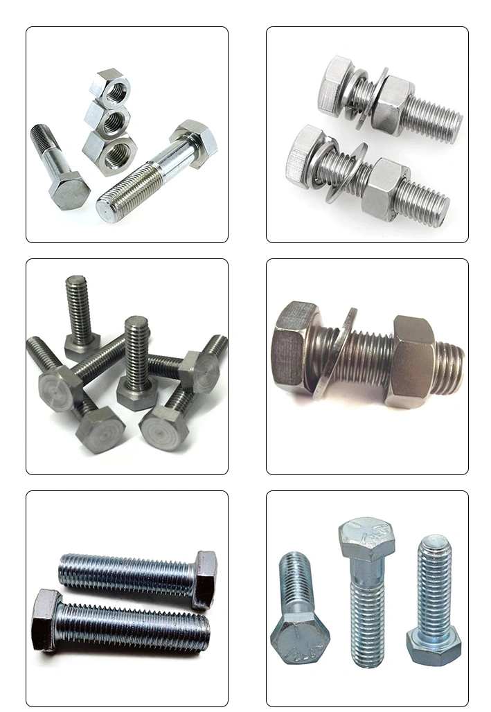 Electro Galvanized Hot DIP Galvanized Black Bolts and Nuts Carbon Steel and Stainless Steel Material Grade 8.8 Fastener